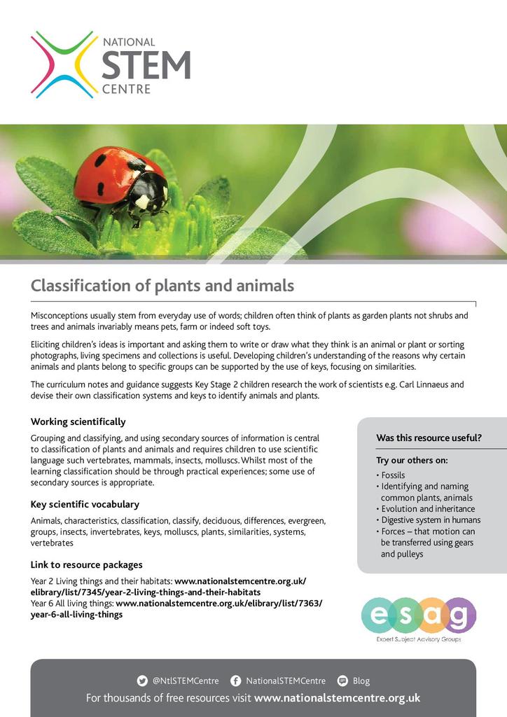 Classifying Plants And Animals Worksheets Printable